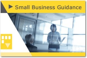 Small Business Guidance